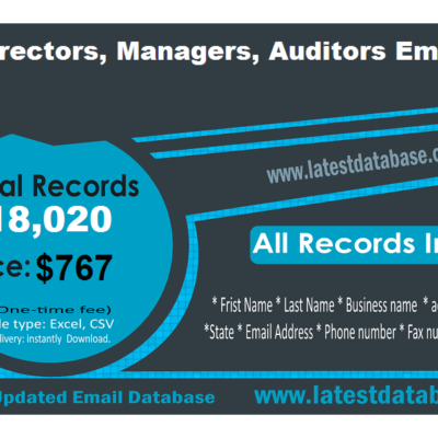 Audit Directors Email Lists