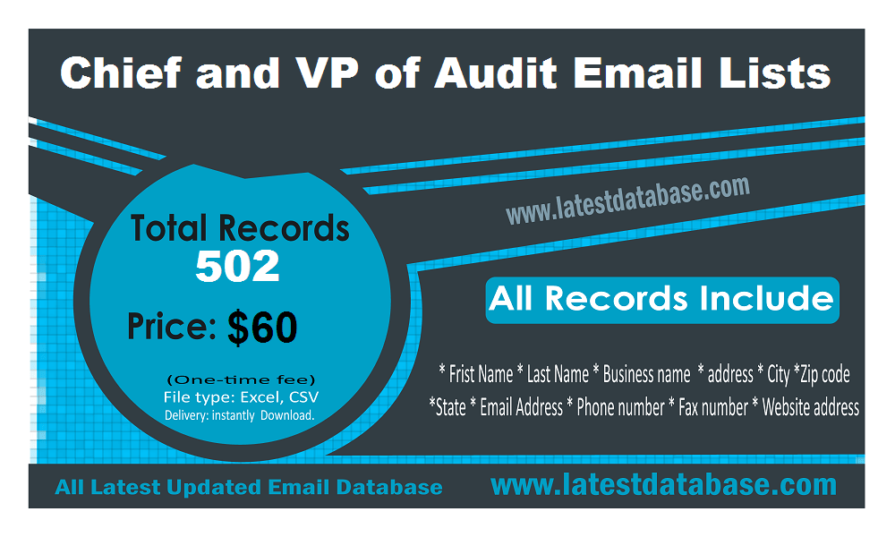 VP of Audit Email Lists