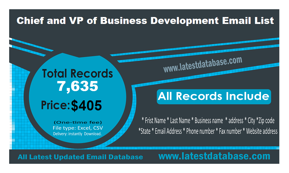 Chief and VP of Business Development Email List