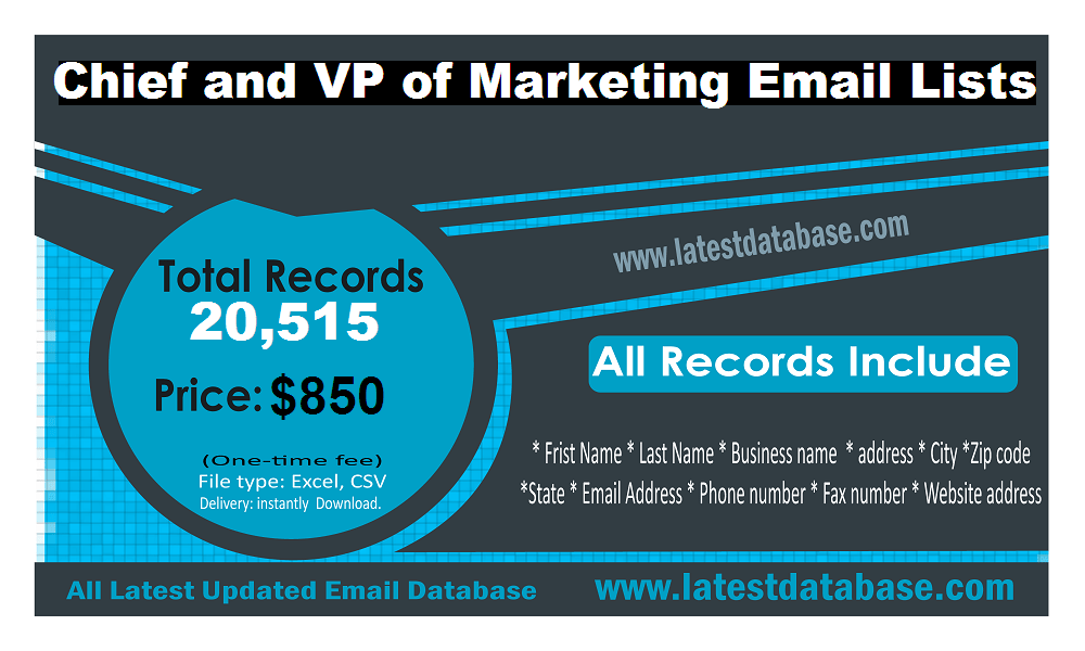 Chief VP Sales Marketing Officers Email Lists