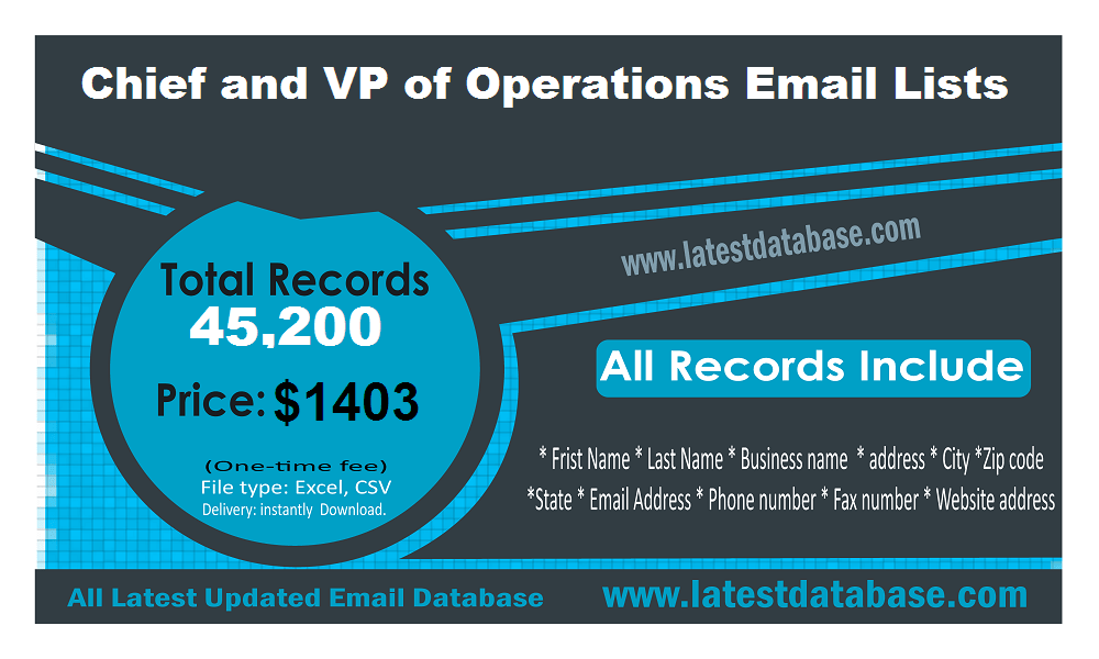 Chief VP Operations Email Lists