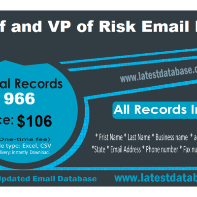 VP of Risk Email Lists