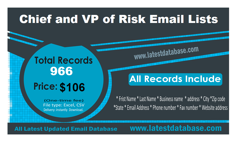 VP of Risk Email Lists