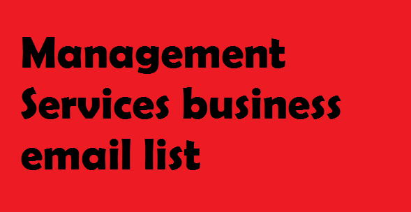 Management Services business email list