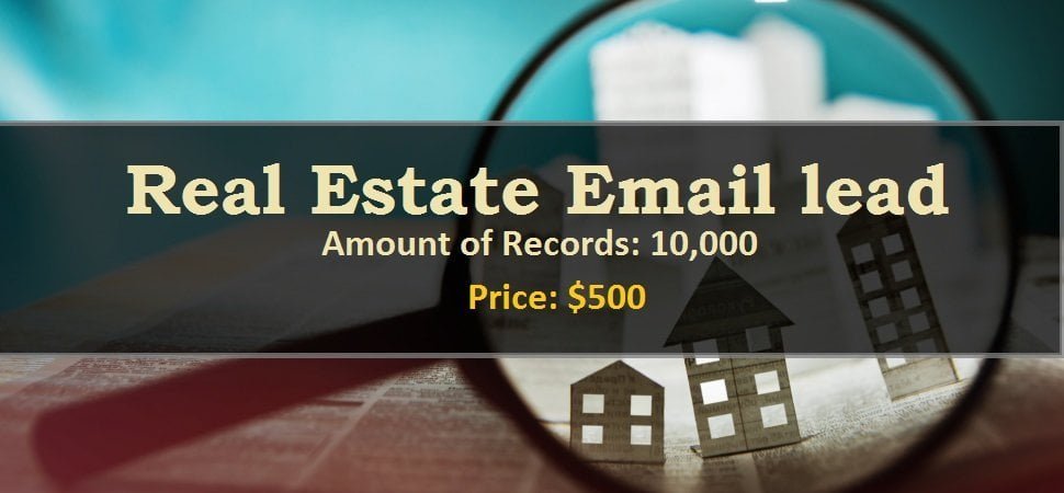 Real Estate Email lead