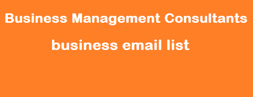 Business Management Consultants business email list