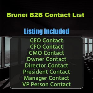 Lista de correo electrónico empresarial de Brunei