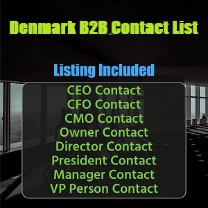 Lista de correo electrónico B2B de Dinamarca