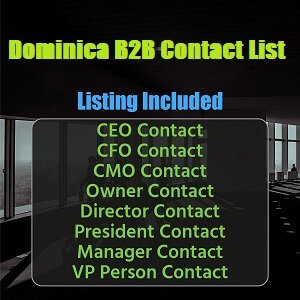 Lista B2B de Dominica
