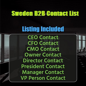 瑞典 B2B 聯繫人列表