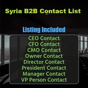 叙利亚B2B清单