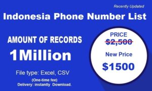 Lista de números de teléfono de Indonesia
