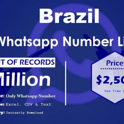 Brazil WhatsApp Number List