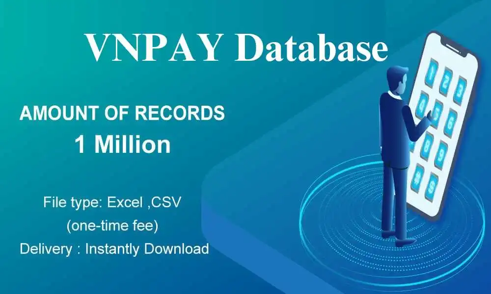 VNPay data